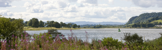 The Saltings local nature reserve